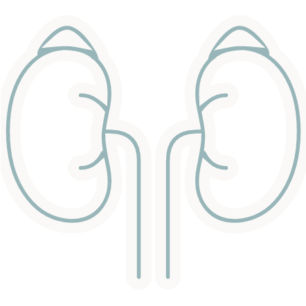 Icon representing - Adrenal Health