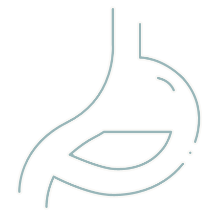 Icon representing - Gastrointestinal Health